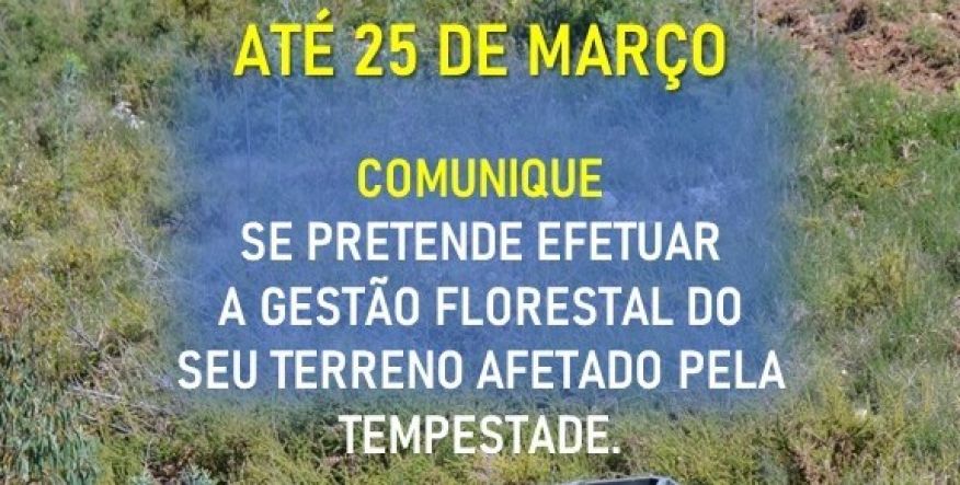 Terrenos afetados pela Kristin? Comunique at&eacute; 25 de mar&ccedil;o. N&atilde;o deixe passar o prazo!
